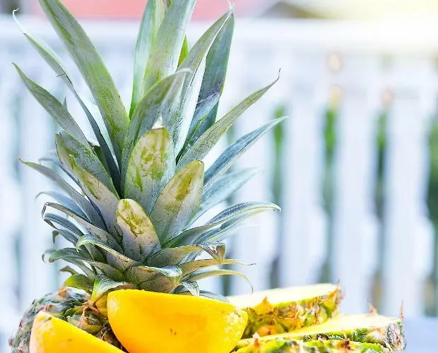 The Heart Of Croatia * 피로바츠